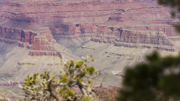 Pan left view of the canyon and green branches alt