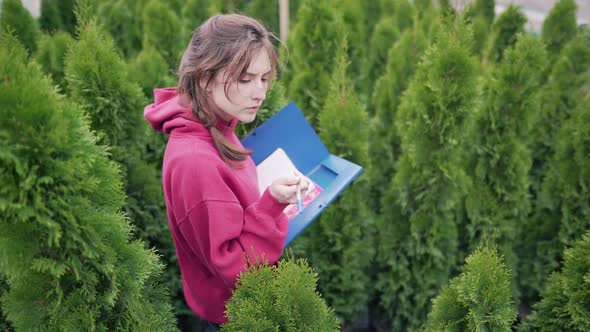 Control Over the Production and Cultivation of Coniferous Seedlings. Young Businesswoman Checks the