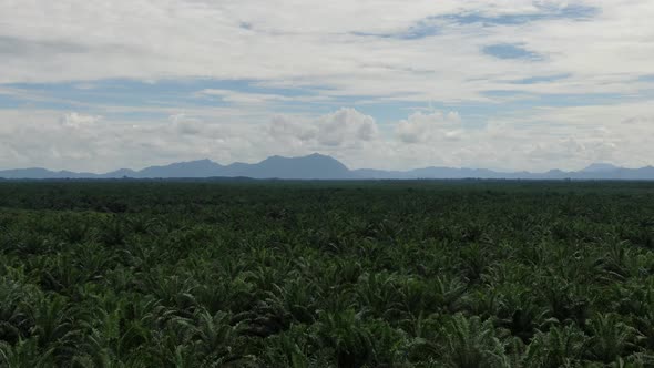 The Beaches at the most southern part of Borneo Island alt