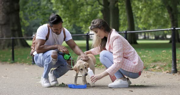 Couple giving dog a drink in public park