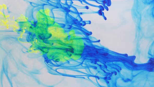 Liquid Abstractions the Dissolution of Blue Yellow and Green Paint in Water alt