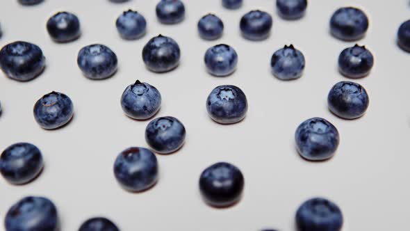 The Fresh Washed Delicious Blueberry in Rotation