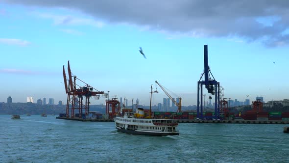 Harbor And Export alt