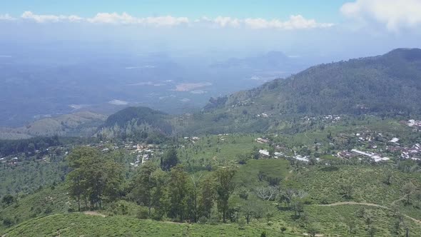 Tea Plantation and Forest on Slope of Mountain Near Town alt
