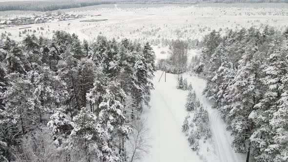 Fantastic Snow Covered Winter Forest in Cool Weather Aerial View alt