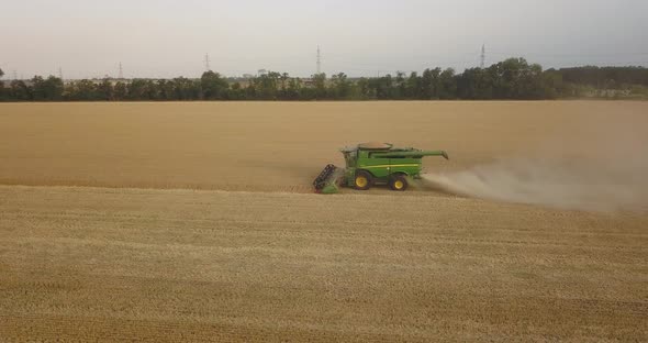 Green Harvester Harvests Wheat On A Large Field In The Evening