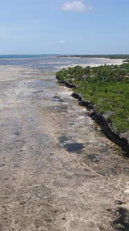 Vertical Video of Low Tide in the Ocean Near the Coast of Zanzibar Tanzania alt