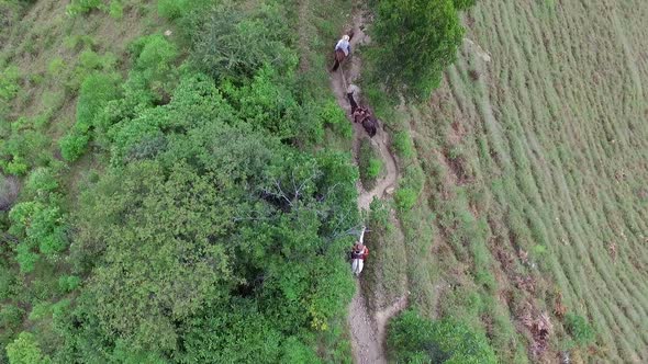Horseback Riding Adventures in the Mountains of Vilcabamba in Ecuador