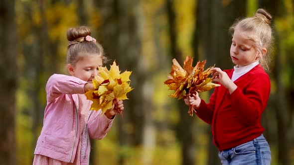 two little girls are gathering a bouquet of autumn leaves
