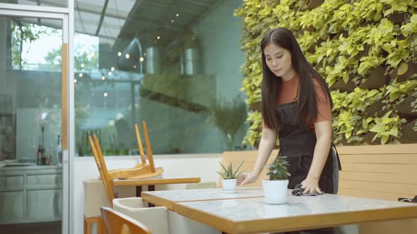 A female restaurant employee or young entrepreneur wipes the dining table in preparation to open. alt