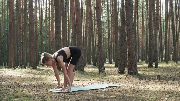 Flexible Fit Lady Practices Yoga Performs Surya Namaskar at Sunny Pine Forest