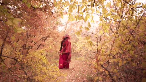 Following Shot of Redhead Majestic Lady Walking in Golden Yellow Woods in the Autumn Forest alt