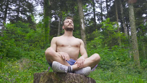 Doing relaxing moves in the forest. alt