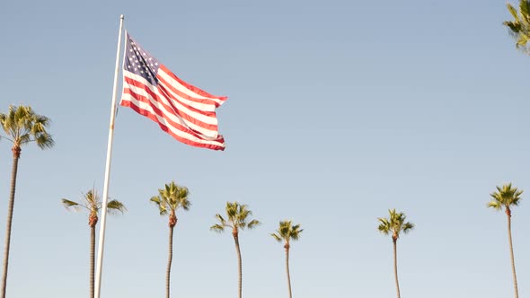 Palms and American Flag Los Angeles California USA alt