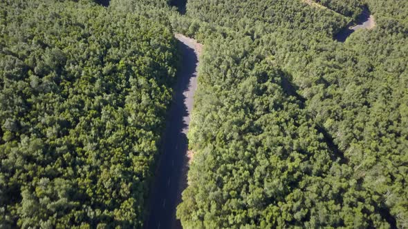 Aerial Top View of Beautiful Road Through the Green Forest