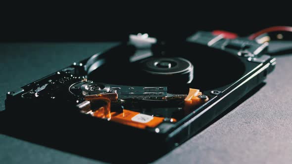 Hard-headed synonyms image