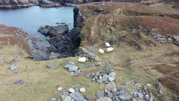 Aerial View of the Coastline at Dawros in County Donegal  Ireland alt