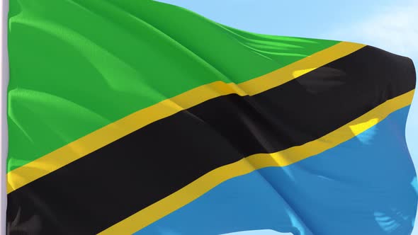 Tanzania Flag Looping Background