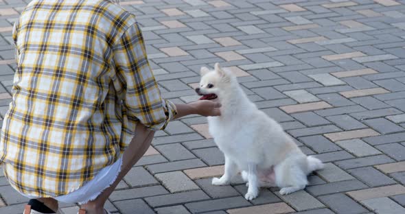 Woman play with her dog at outdoor alt