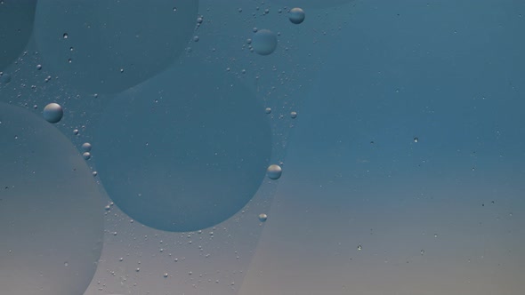 Macro Structure of Colorful Oil Bubbles. Chaotic Motion. Abstract Multicolored Background. Pattern alt