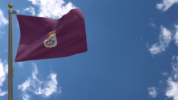Soria Province Flag (Spain) On Flagpole alt