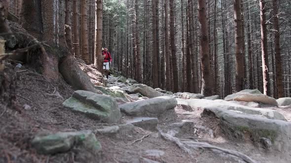 Tourist with a Backpack Goes Down the Stone Mountain Trail in the Forest. alt