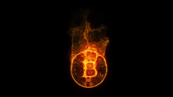 bitcoin virtual crypto currency sign