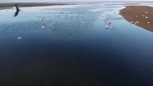 close up birds eye view inside a flock of birds flying over a still lake slow mo