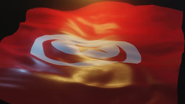 Tunisia Flag Low Angle View