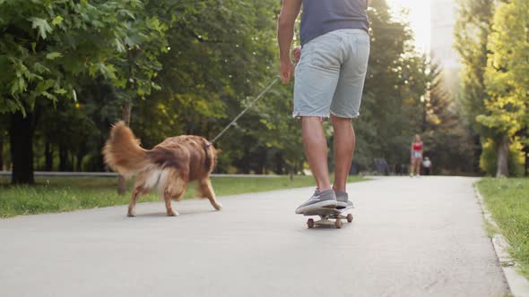 Young Male Skater Having a Walk in Park with His Dog