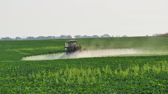 A Tractor Sprayer Treats the Plantations with a Sprayer Herbicides and Pesticides alt