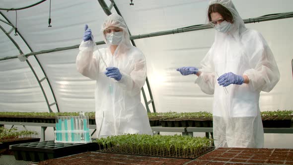 Farmers Tending Growing Crops in Greenhouse