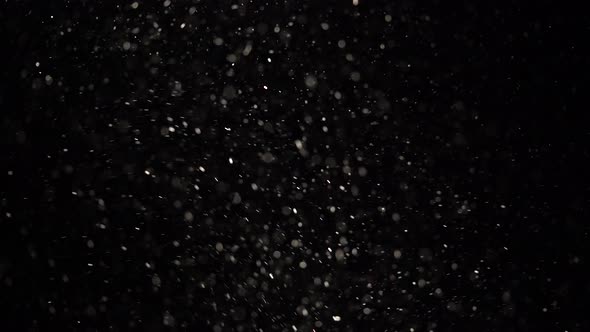 Floating Transparent Dust Particles Are Shining on a Black Background. alt