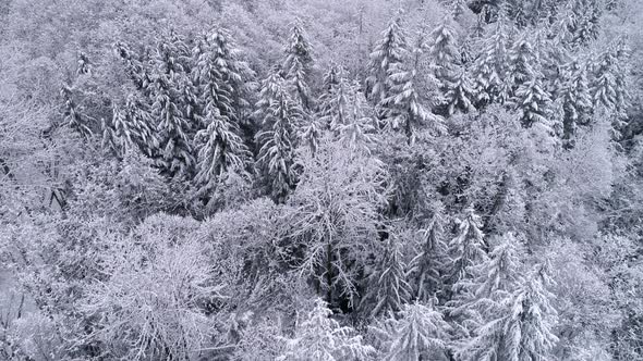 Aerial Shot With Snow Falling On Foggy Mountain Forest In Cold Winter Season alt