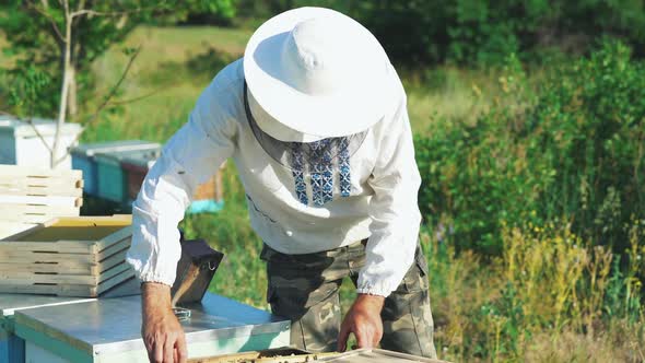 Beekeeper is working with bees and beehives on the apiary. Frames of a bee hive. alt