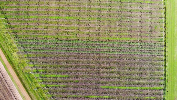 Aerial View of a Farm Crops in Australia
