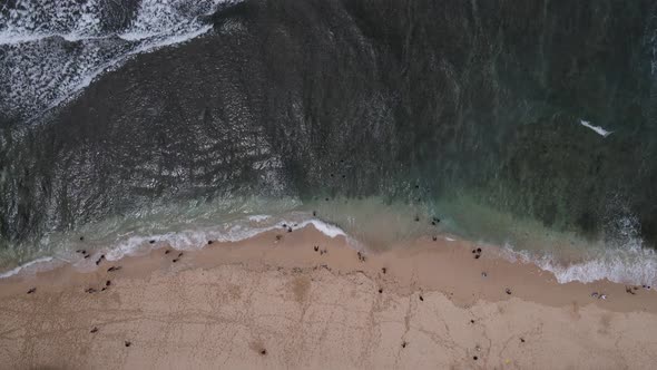 People play in Beautiful beach in Gunung Kidul, Indonesia alt