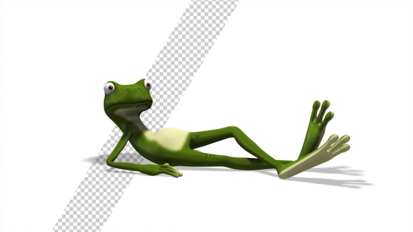 Frog Lying Down Resting
