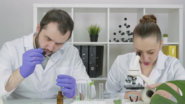 Two Scientists Work in Lab Developing Microbiomesupporting Skincare Products