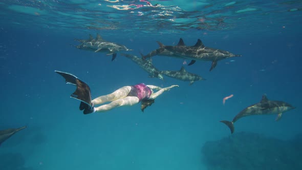 Beautiful Young Woman Swimming Underwater with Dolphins in Pristine ...