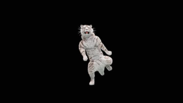 White Tiger Dancing HD alt