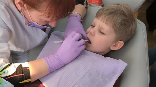 Female Dentist examining boy's teeth in clinic. A small patient in the dental chair .
