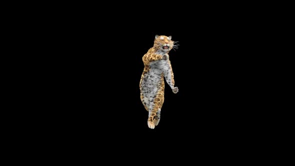 Leopard Dancing HD alt