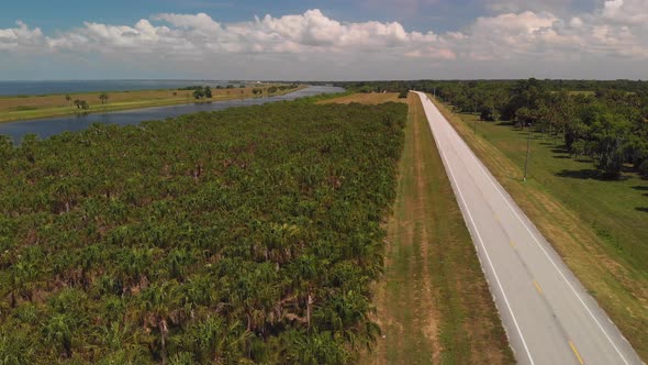 Palm Trees And River Near Lake Okeechobee. Aerial View.