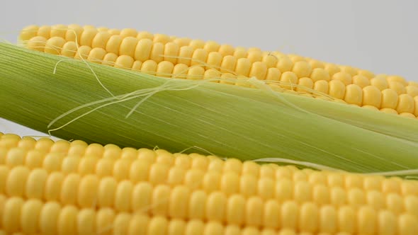 Corn 9 alt