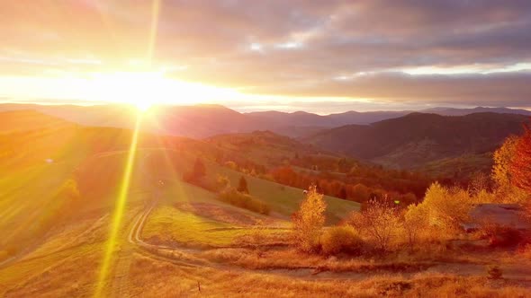 The Mountain Forest on the Background of the Sunset alt