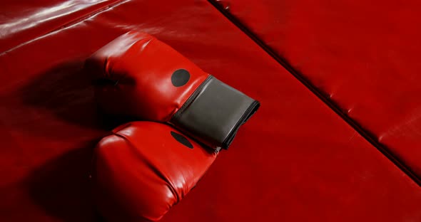 Boxing gloves on the boxing ring alt
