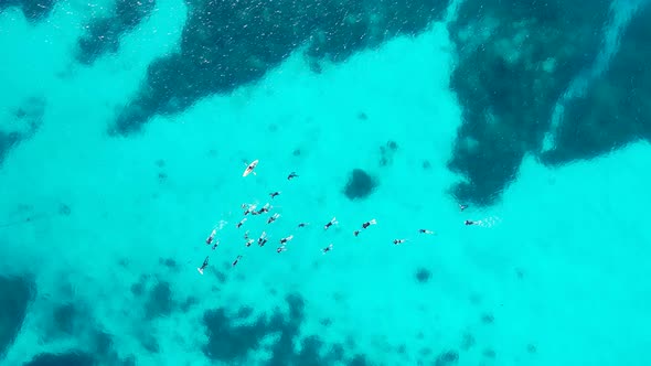 A large group of snorkelers drifting across the tropical coloured waters of the Great Barrier Reef A alt