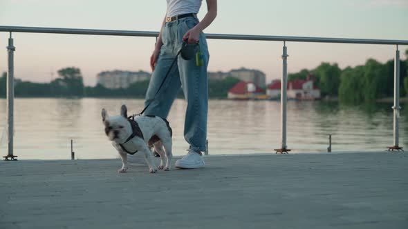 Unrecognizable Woman Walking with French Bulldog in Park. alt