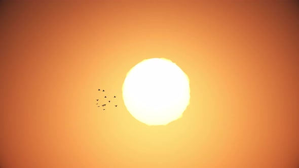 Flock of birds flying in the sky and sun heat in background.